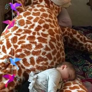 Meet your Posher, Carol